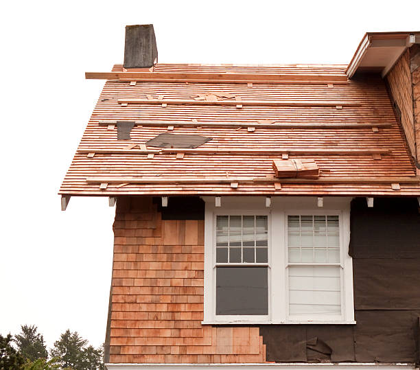 Best Siding Removal and Disposal  in Hebron, KY